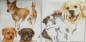 Serviette Hunde, Welpen